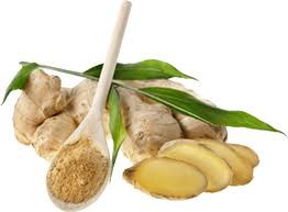 /products/infaer-rens/